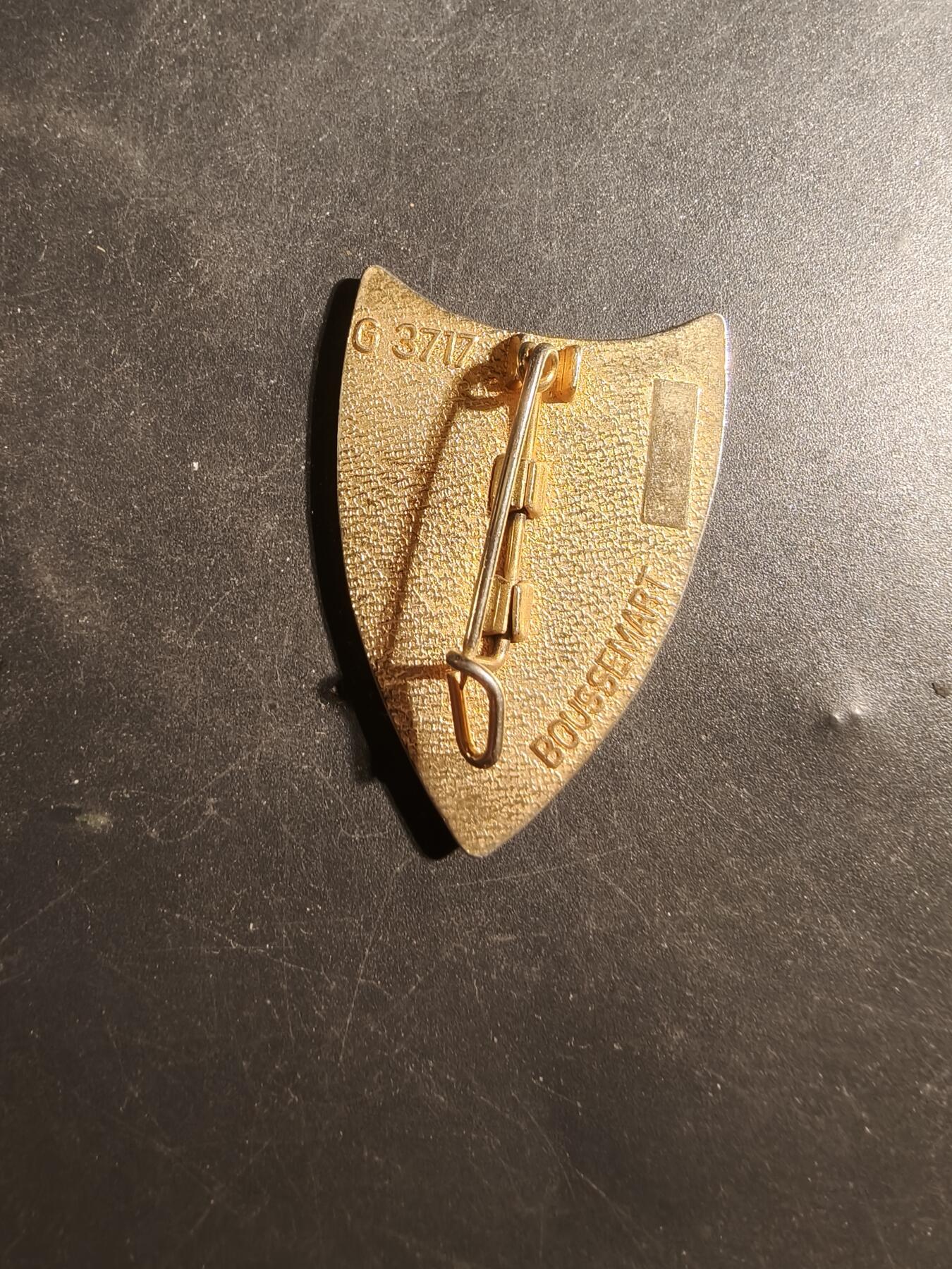 老王徽章第179期 法国陆军第41通信团证章