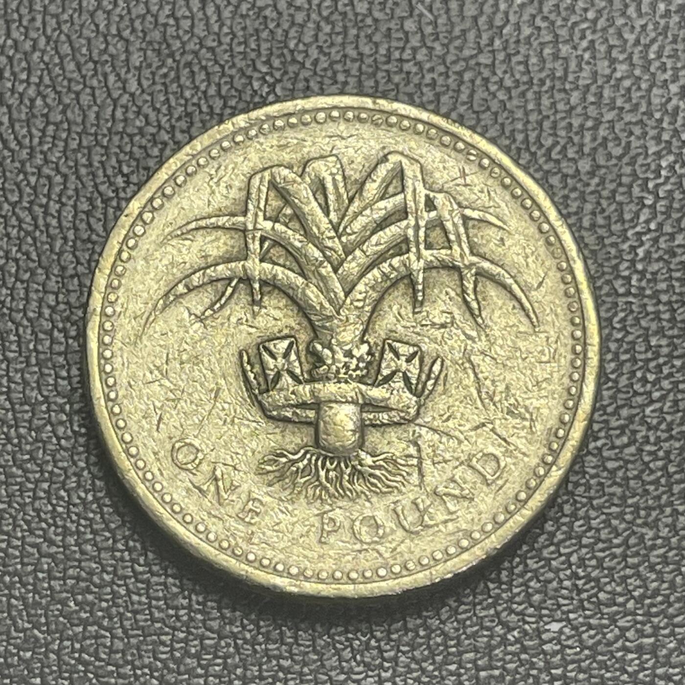 回流0125 英国1990年1英镑加厚铜币 威尔士韭葱