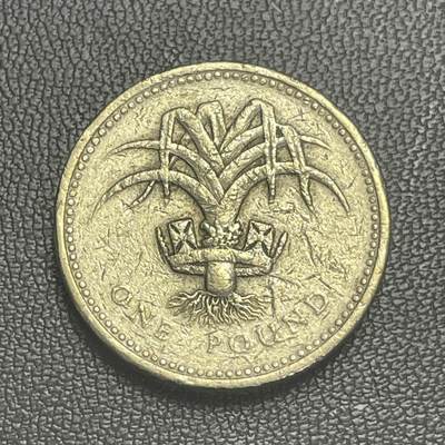 回流0125 - 英国1990年1英镑加厚铜币 威尔士韭葱