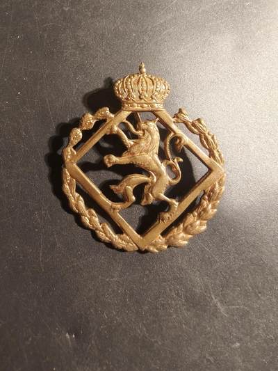 老王徽章第179期 - 比利时陆军皇家女子军团帽徽