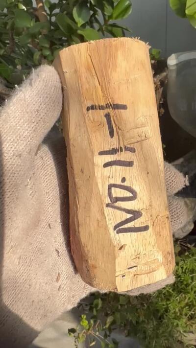 零元拍：  NO.11-1海南黄花梨 天然小狐狸有没有。尺寸约115/40/40MM