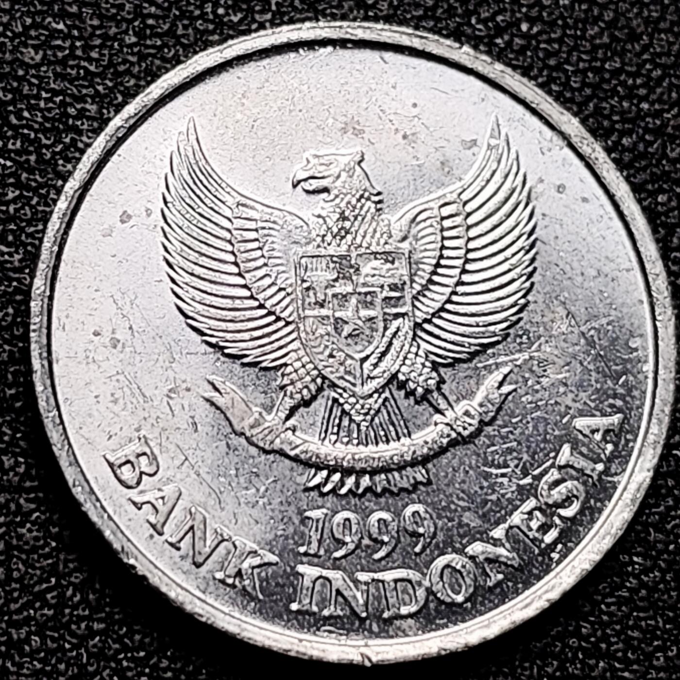 泉币菌-第175场- 精品福利场 。