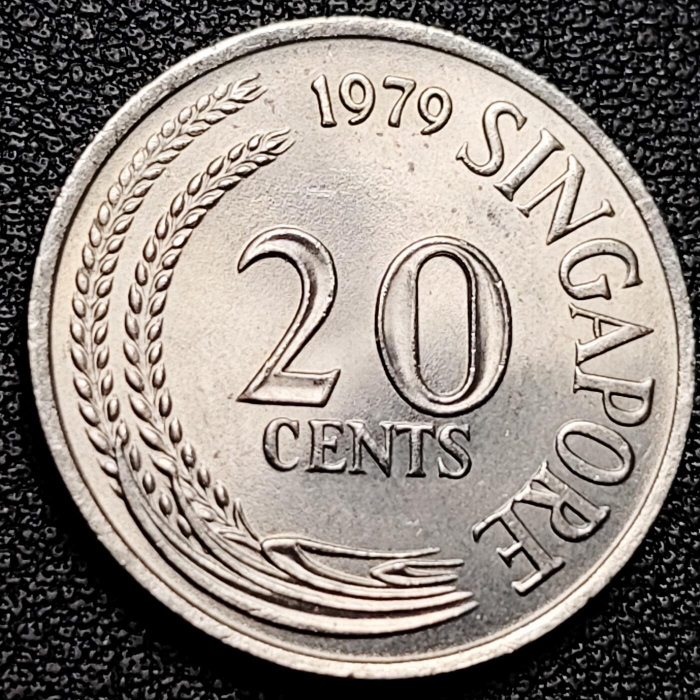 泉币菌-第175场- 精品福利场 。