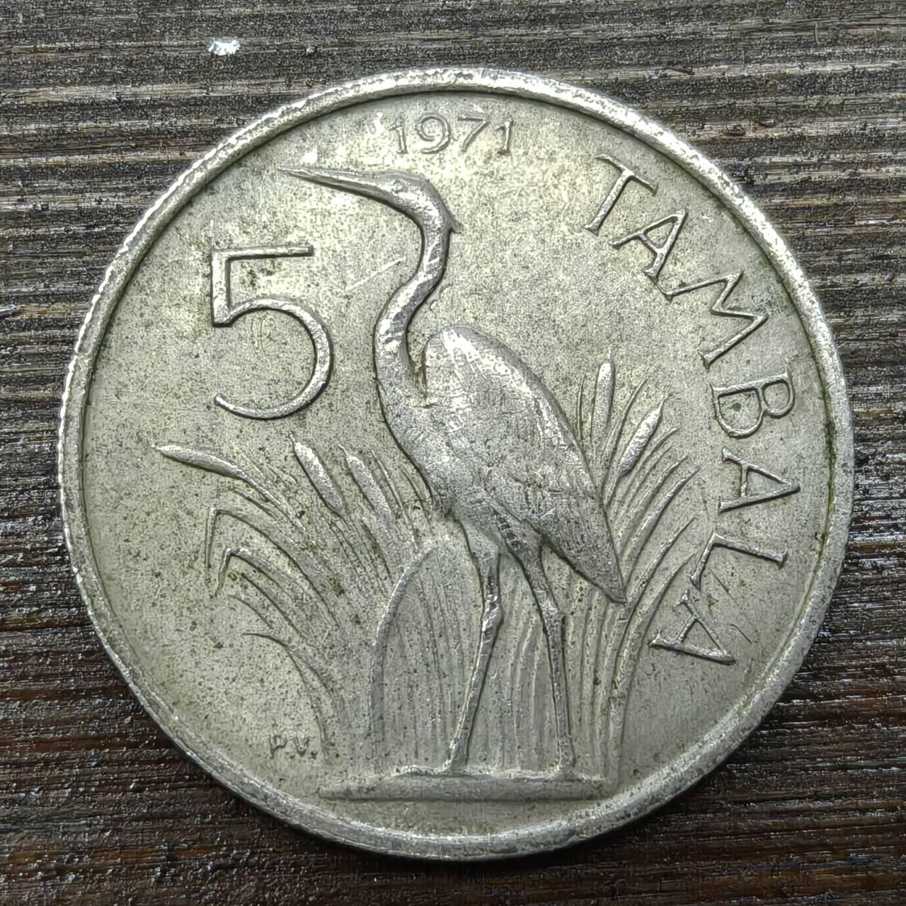 【铜匠收藏】★第140场★散币场。不寄存，30包邮。不满30元，支付5元运费。《接受代拍 代送NGC评级》 63【无寄存】马拉维 1971年 5分 镍币