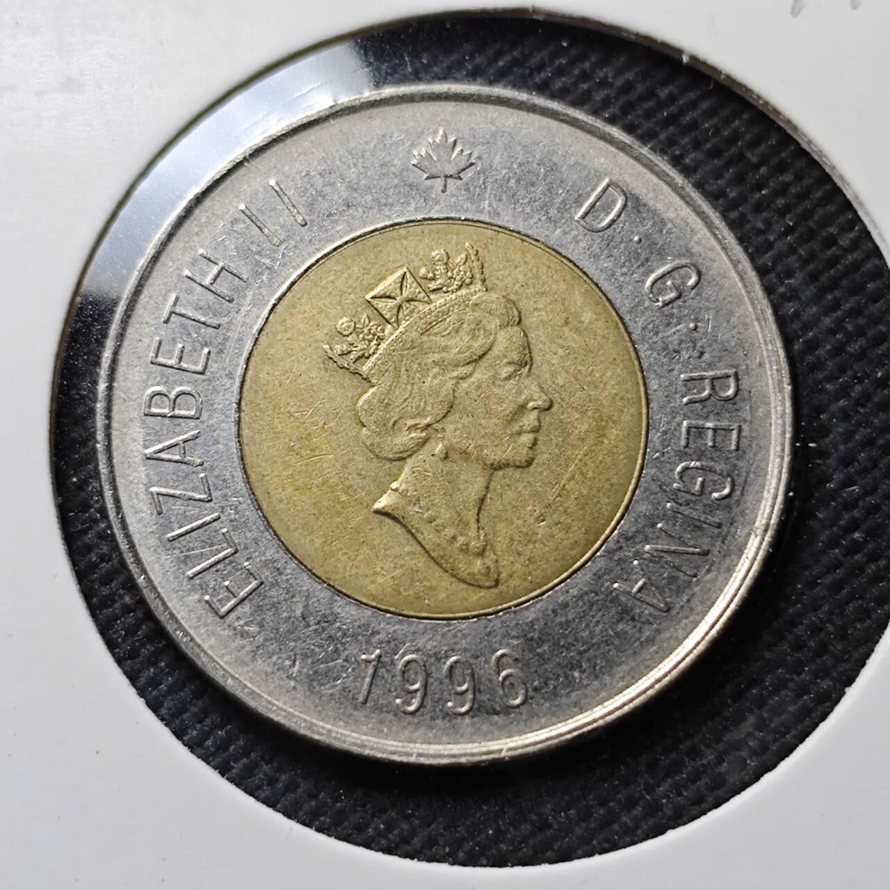 KK钱币收藏小铺  第389期  2月预留时间 周末发货