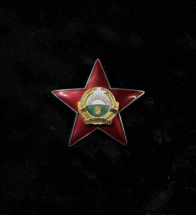 戎马世界章牌大赏第110期 - 阿富汗勇敢勋章，苏联代工，少见