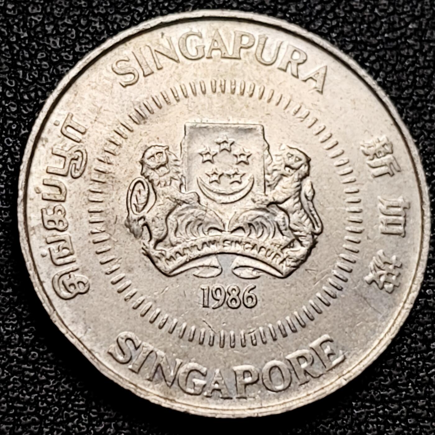 泉币菌-第175场- 精品福利场 。