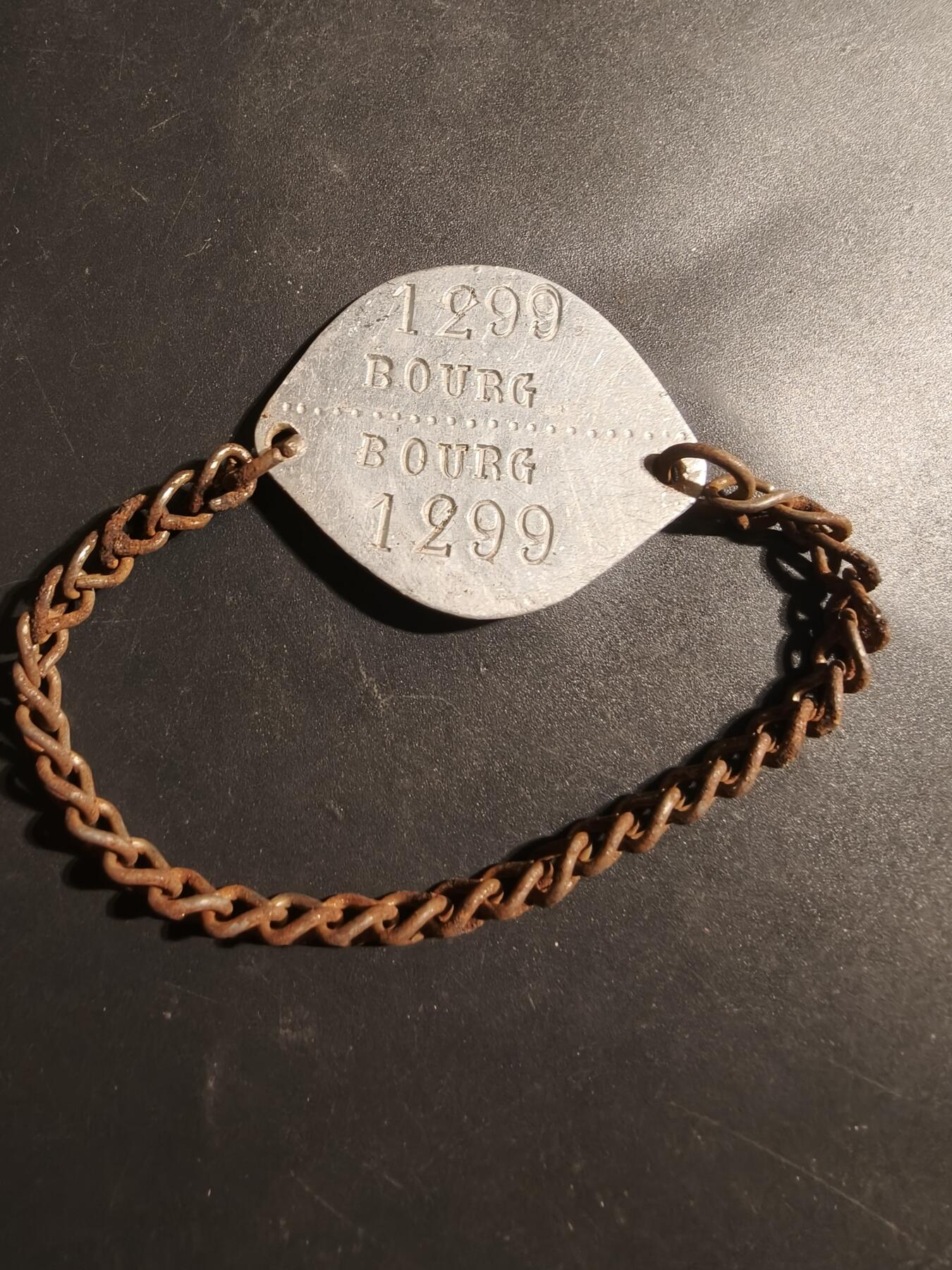 老王徽章第179期 法国二战狗牌