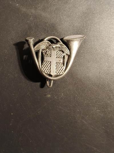 老王徽章第179期 - 法国陆军第13山地猎兵营证章