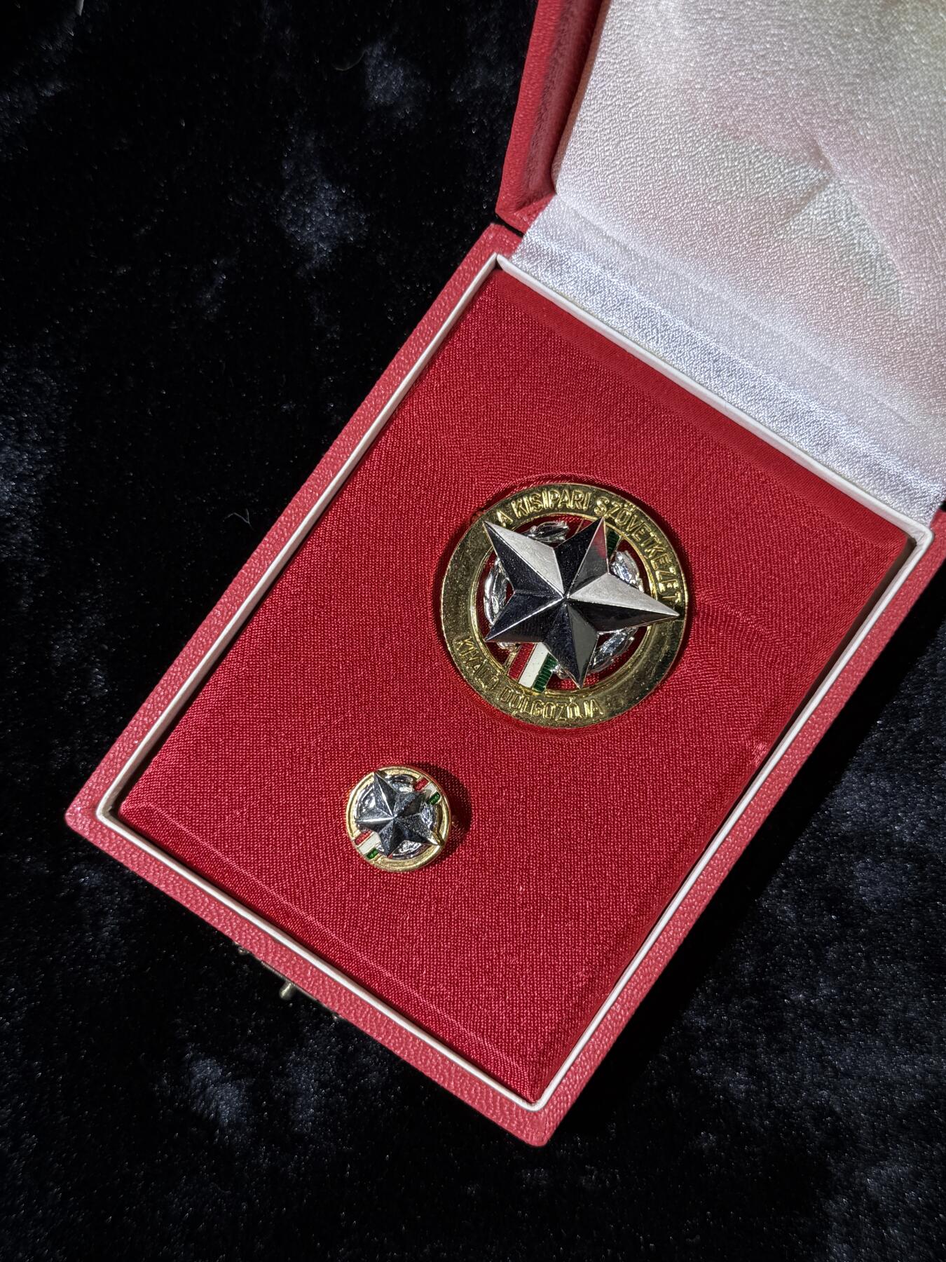 戎马世界章牌大赏第110期 工业合作社的优秀员工证章，带mini