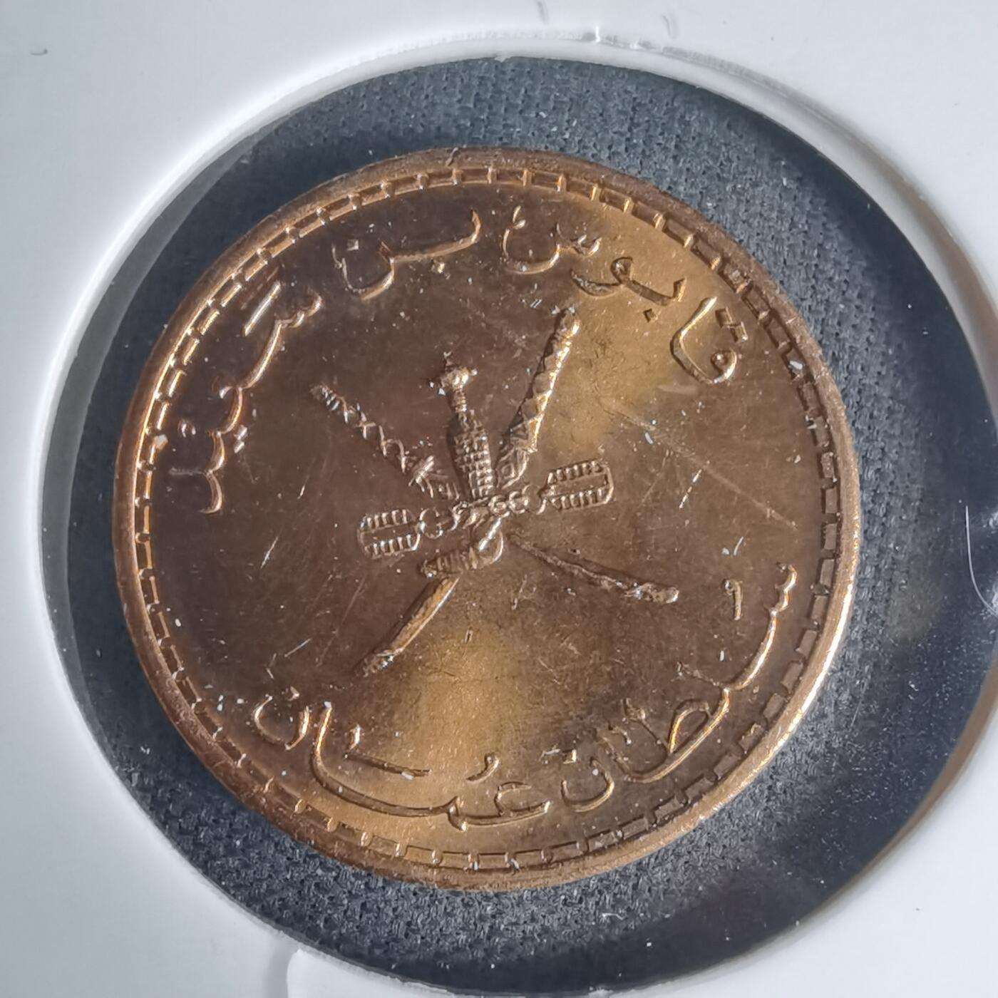 沼泽如烟--第975场