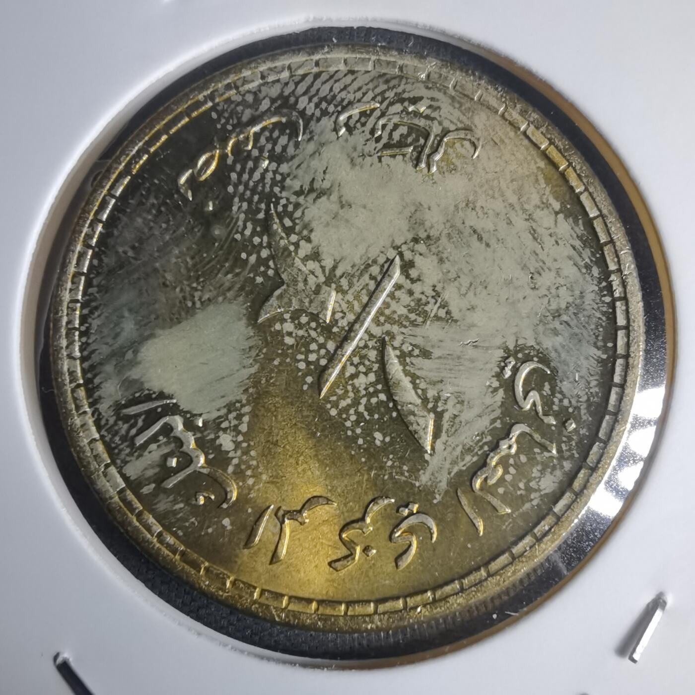 沼泽如烟--第975场