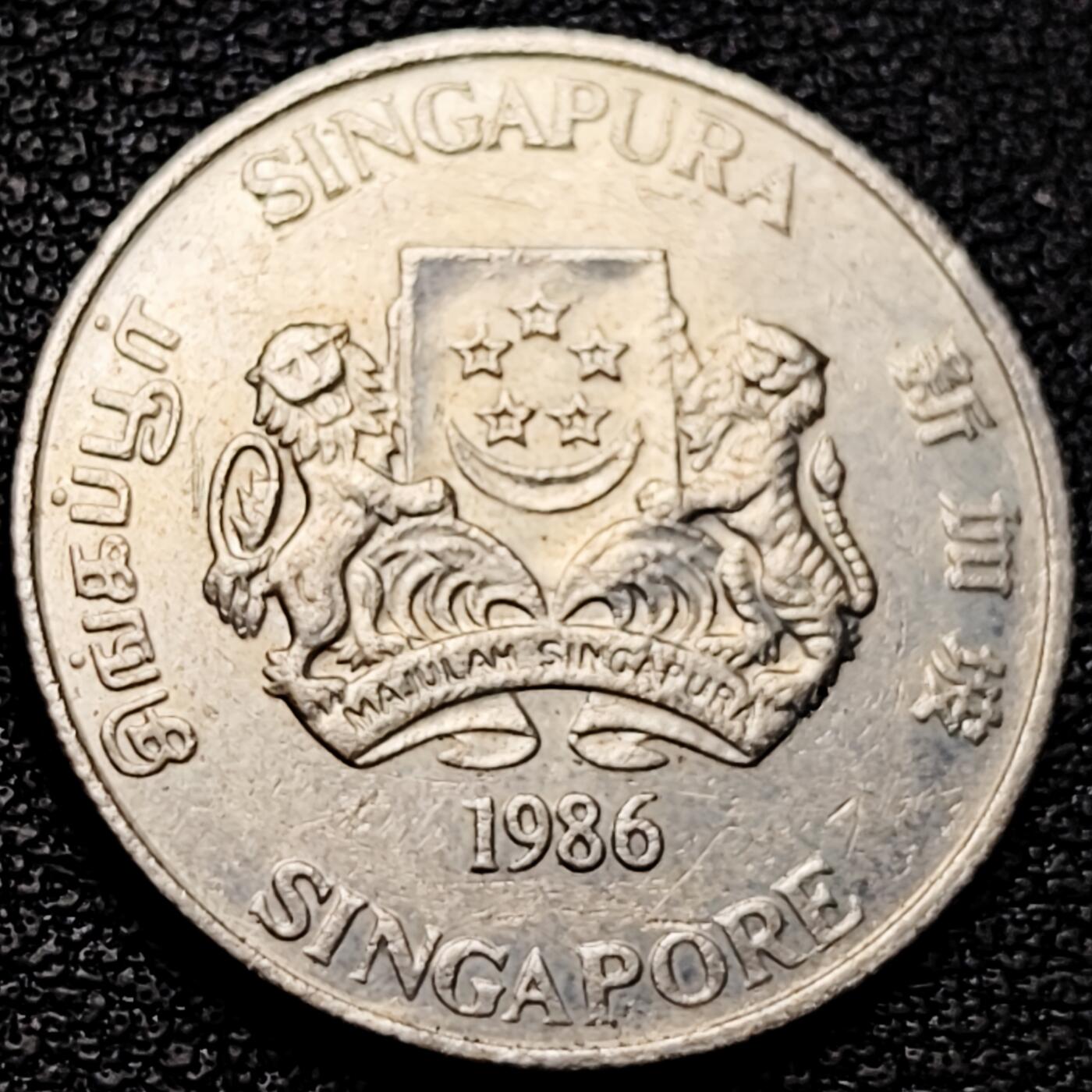 泉币菌-第175场- 精品福利场 。