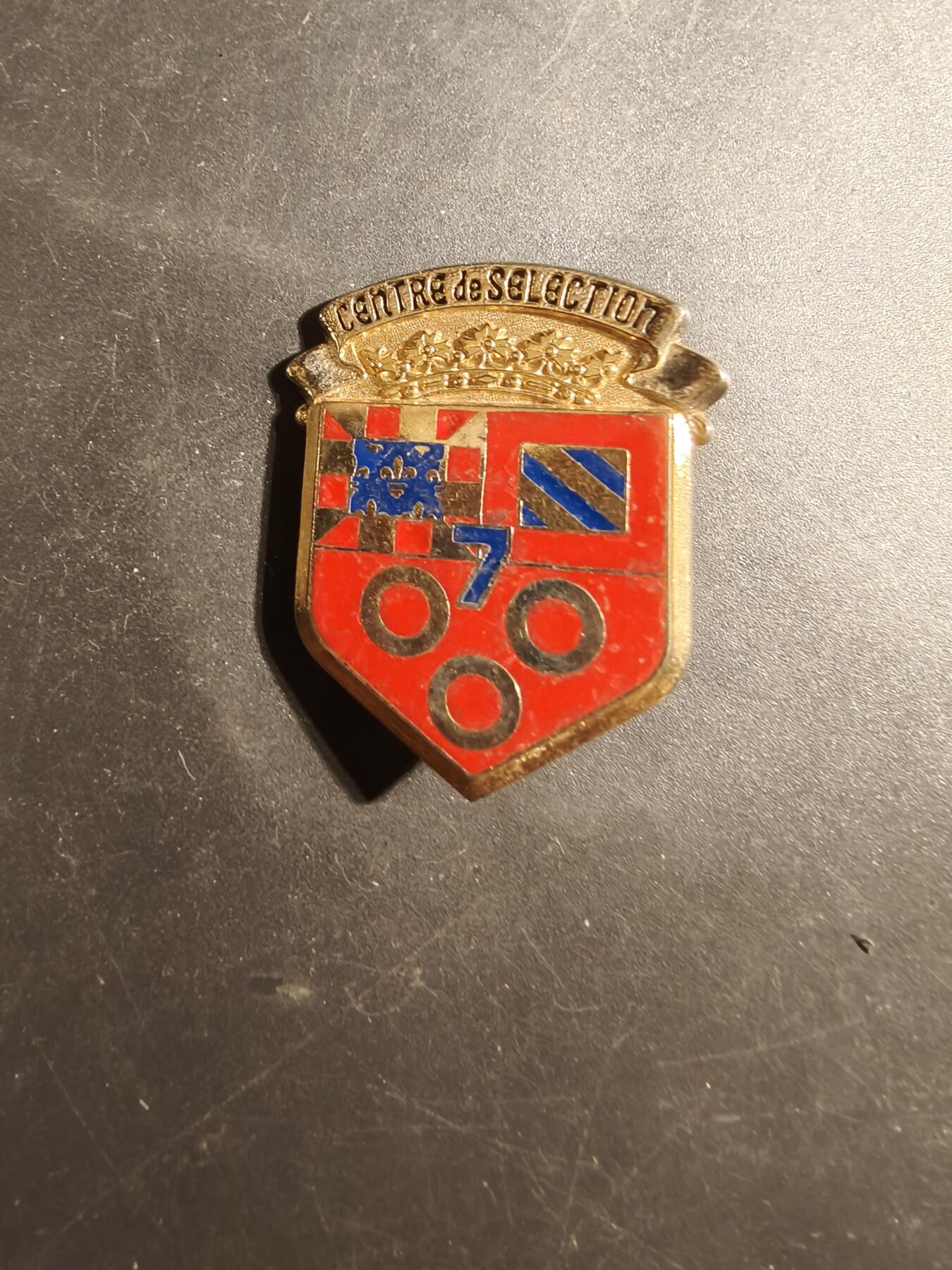 老王徽章第179期 法国陆军第7选拔中心证章