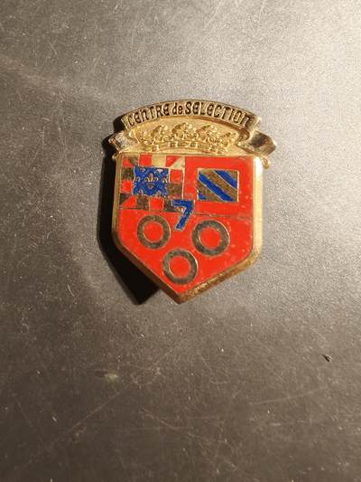 老王徽章第179期 - 法国陆军第7选拔中心证章