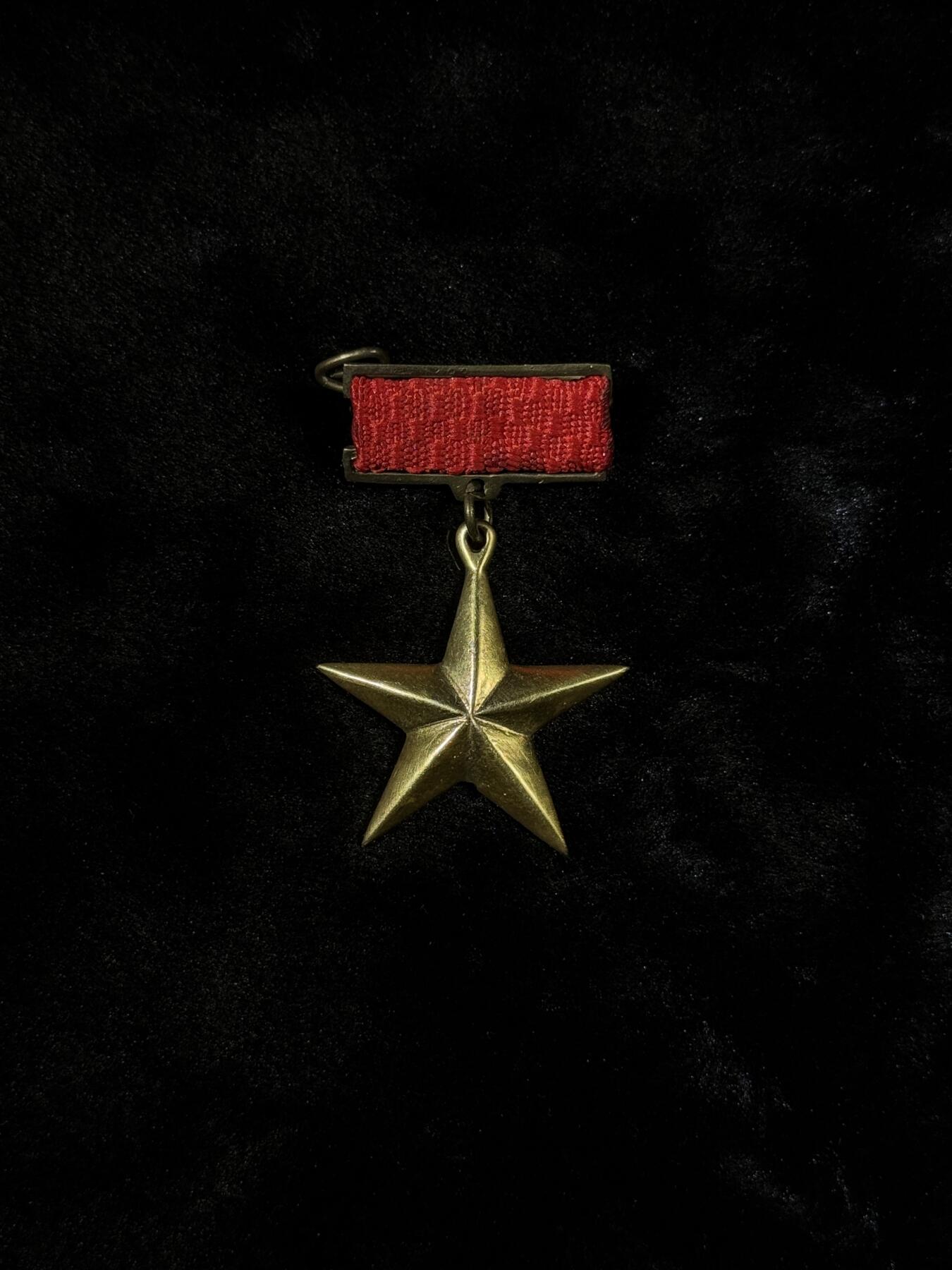 戎马世界章牌大赏第110期 越南人民英雄奖章（大金星），铜制