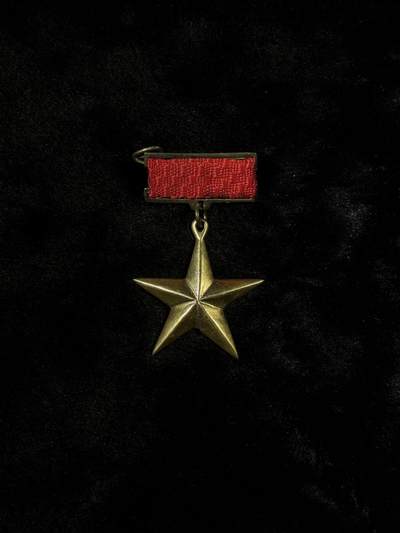 戎马世界章牌大赏第110期 - 越南人民英雄奖章（大金星），铜制