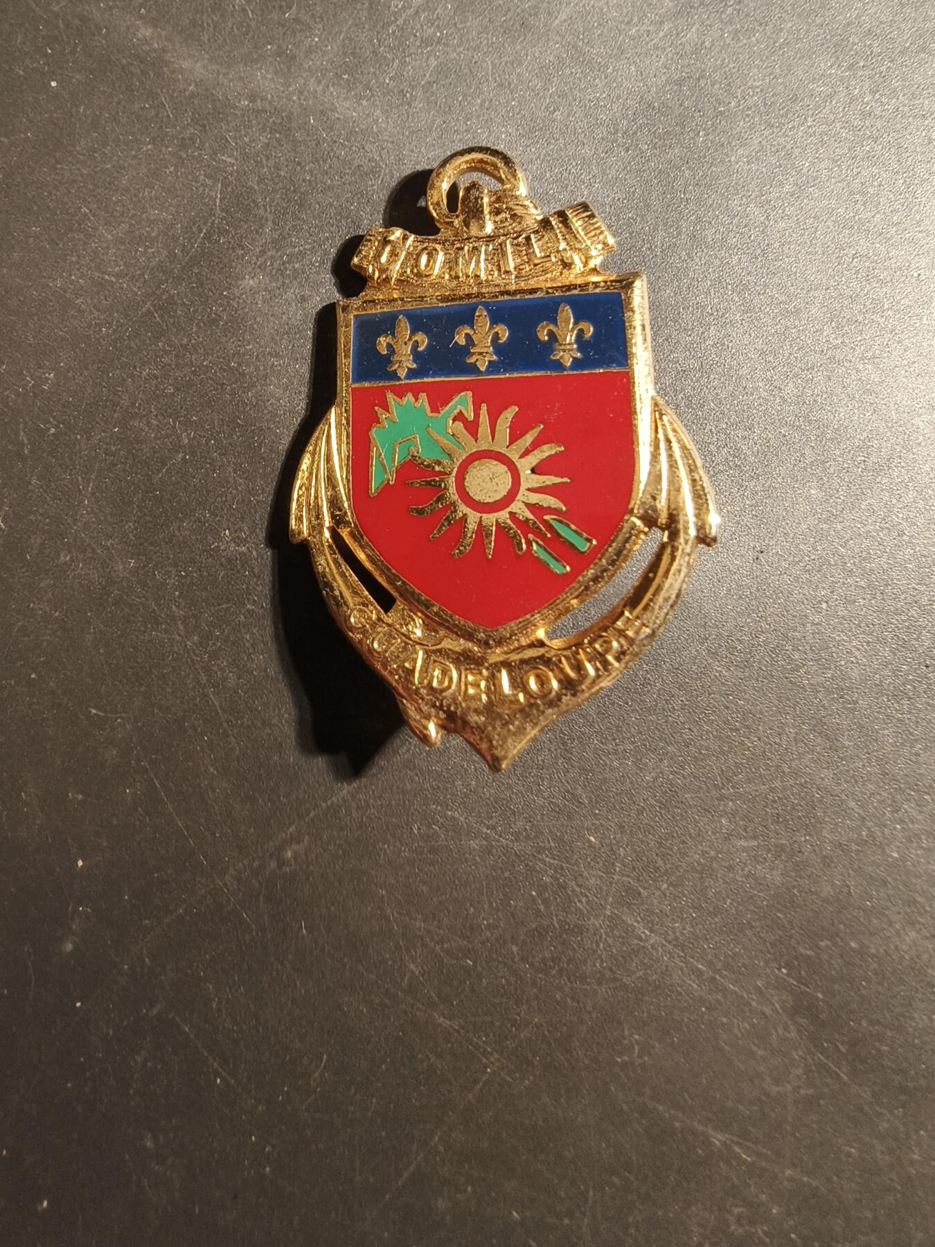 老王徽章第179期 法国瓜德罗普军事指挥部证章