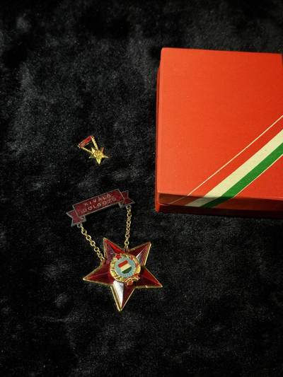 戎马世界章牌大赏第110期 - 匈牙利优秀劳动者证章