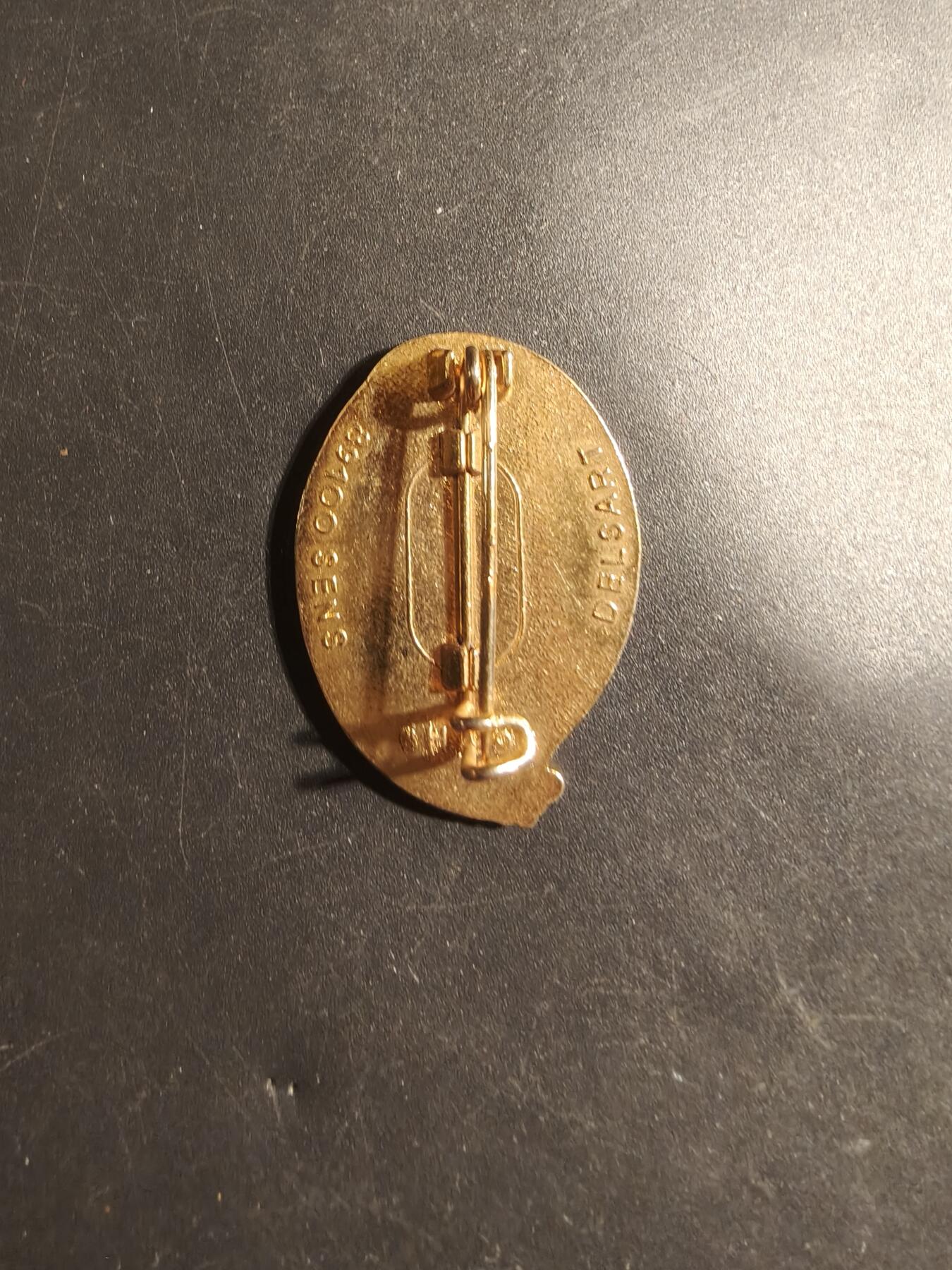 老王徽章第179期 法国陆军第1伞降骠骑兵团证章