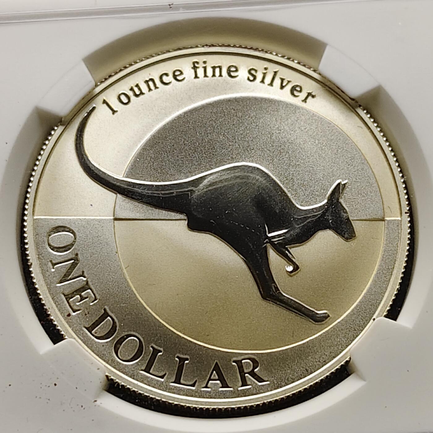 【全场包邮】纯粹捡漏拍499场-持续更新中 澳大利亚2004年1元袋鼠1盎司999纯银币【40.5毫米31.1克99.9%，纯银价约870元（按28元银价折算）】-NGC MS68