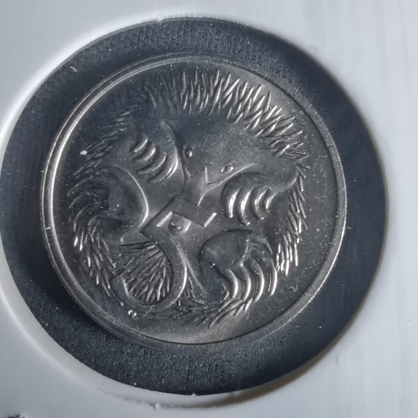 沼泽如烟--第975场 澳大利亚1984年五分