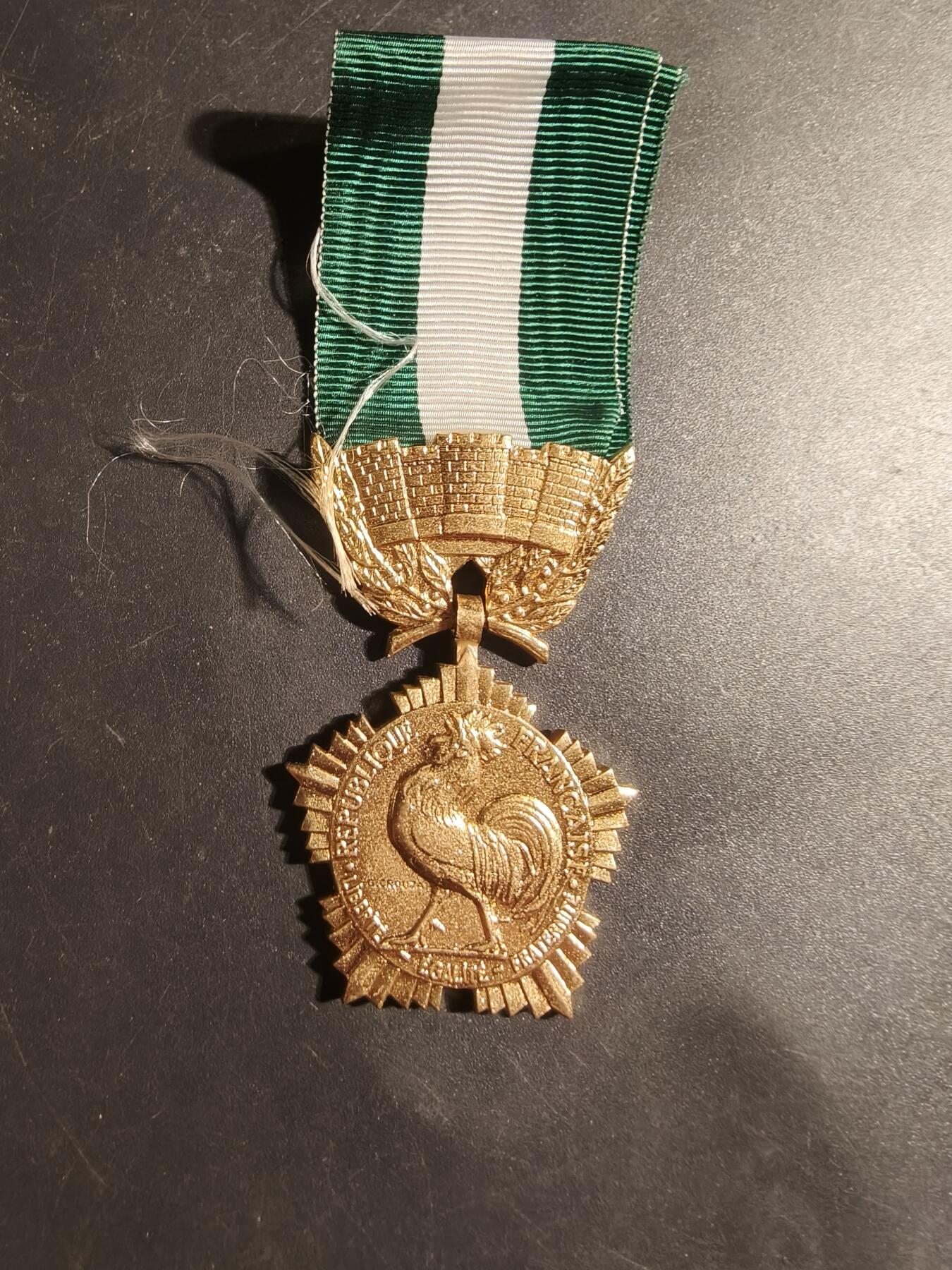 老王徽章第179期 法国金级地方嘉奖奖章