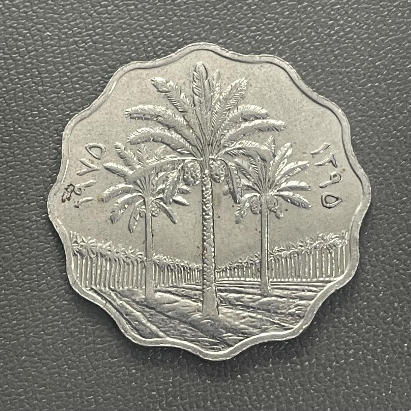 回流0125 伊拉克10费尔 椰枣树