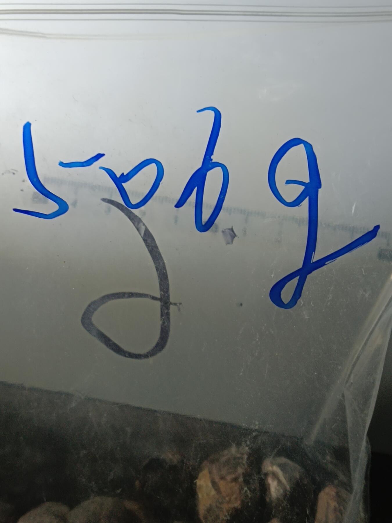 111期新疆红钱粟特钱币丝路钱币专场 6 石榴石原石