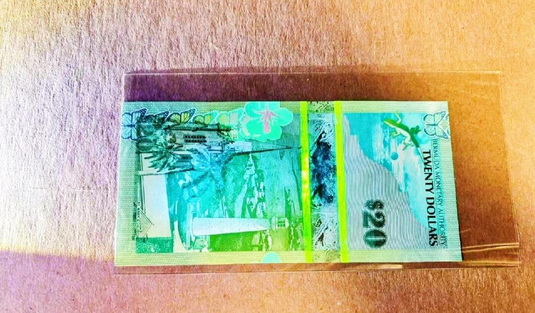 2009年百慕大20元 首发洋葱冠 靓号 年份号 无347 全新 UNC 绿色基调 正面是青蛙 背面为吉布士山灯塔和圣马可教堂 非常漂亮 不愧为2009年IBNS年度最佳钞票的姊妹款