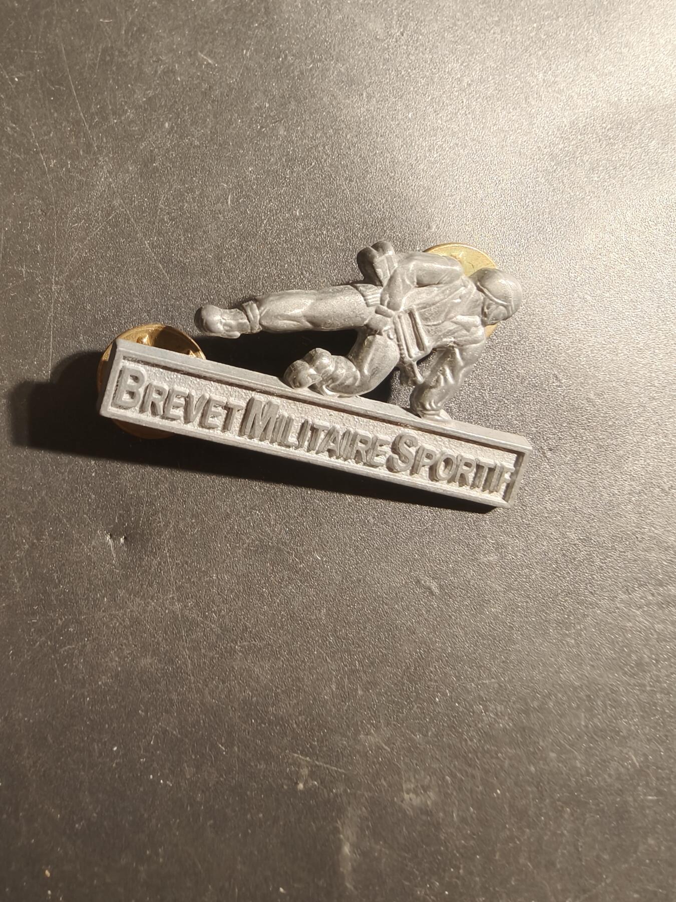 老王徽章第179期 法国军事体育银级军事技能章