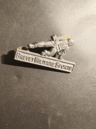 老王徽章第179期 - 法国军事体育银级军事技能章