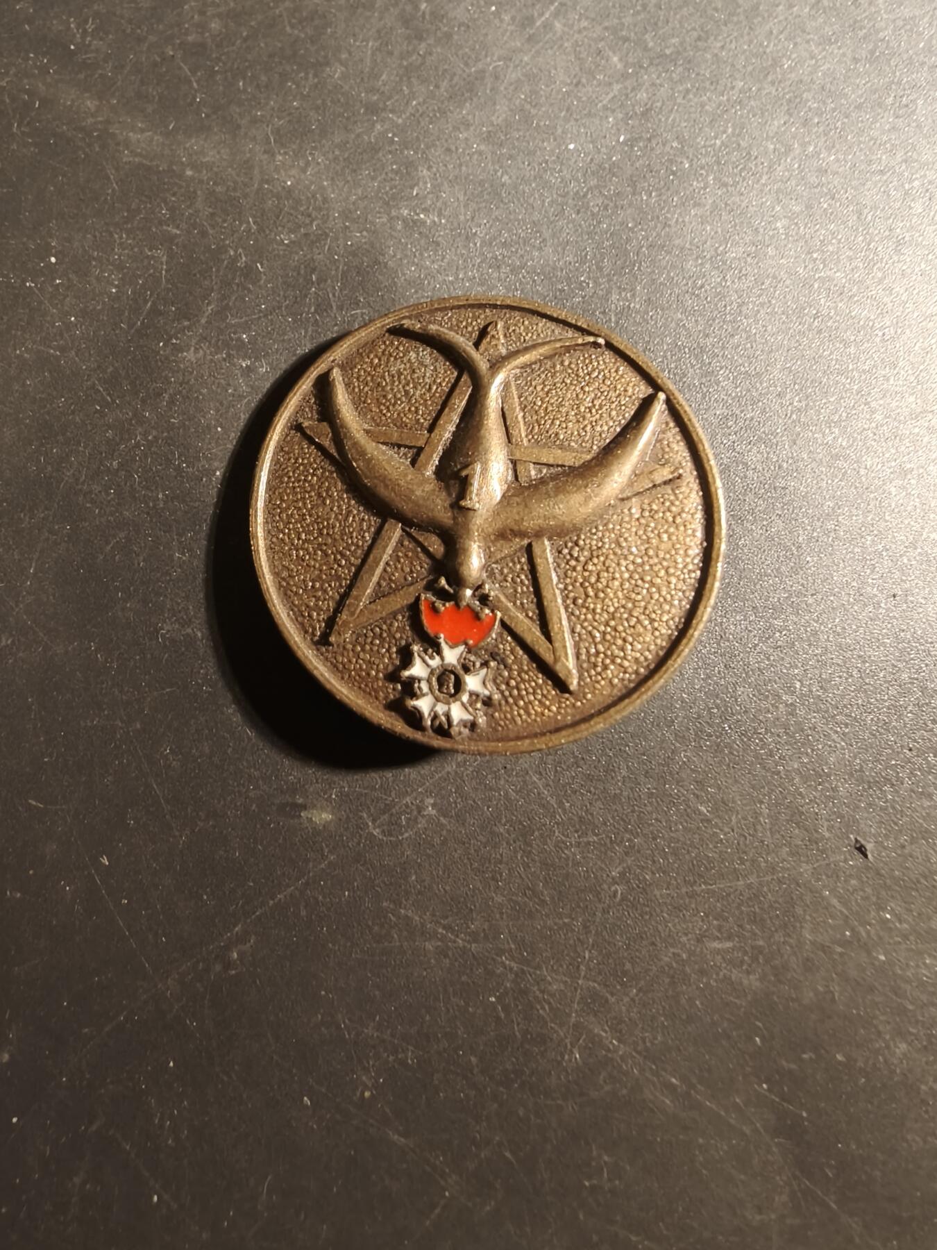 老王徽章第179期 法国第1摩洛哥散兵团证章