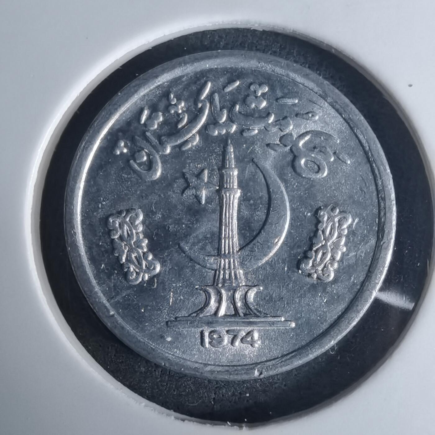 沼泽如烟--第975场