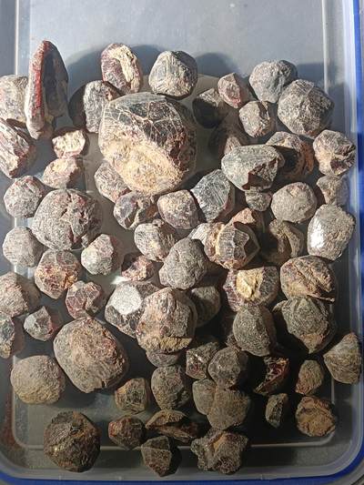 111期新疆红钱粟特钱币丝路钱币专场 - 6 石榴石原石