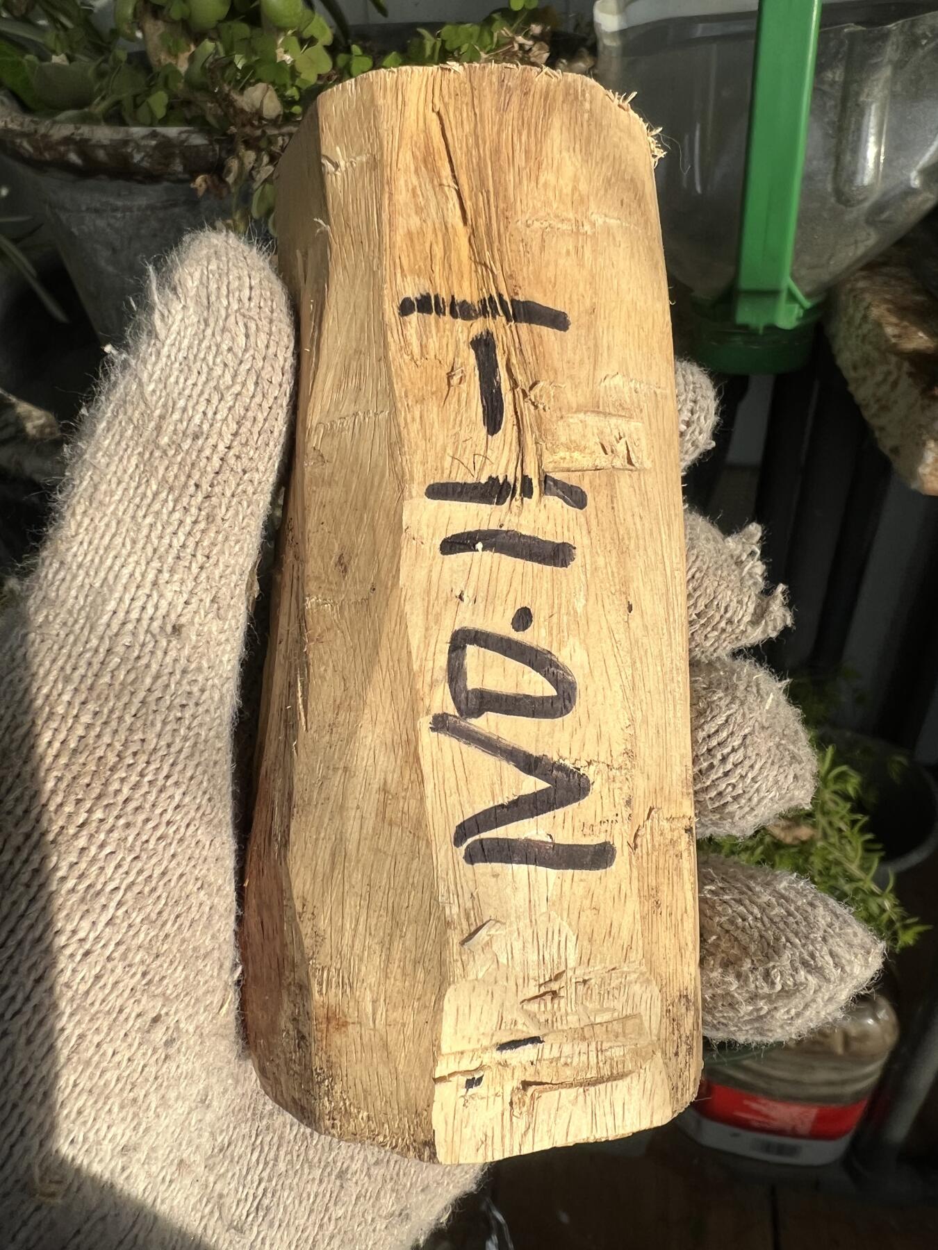 零元拍：  NO.11-1海南黄花梨 天然小狐狸有没有。尺寸约115/40/40MM