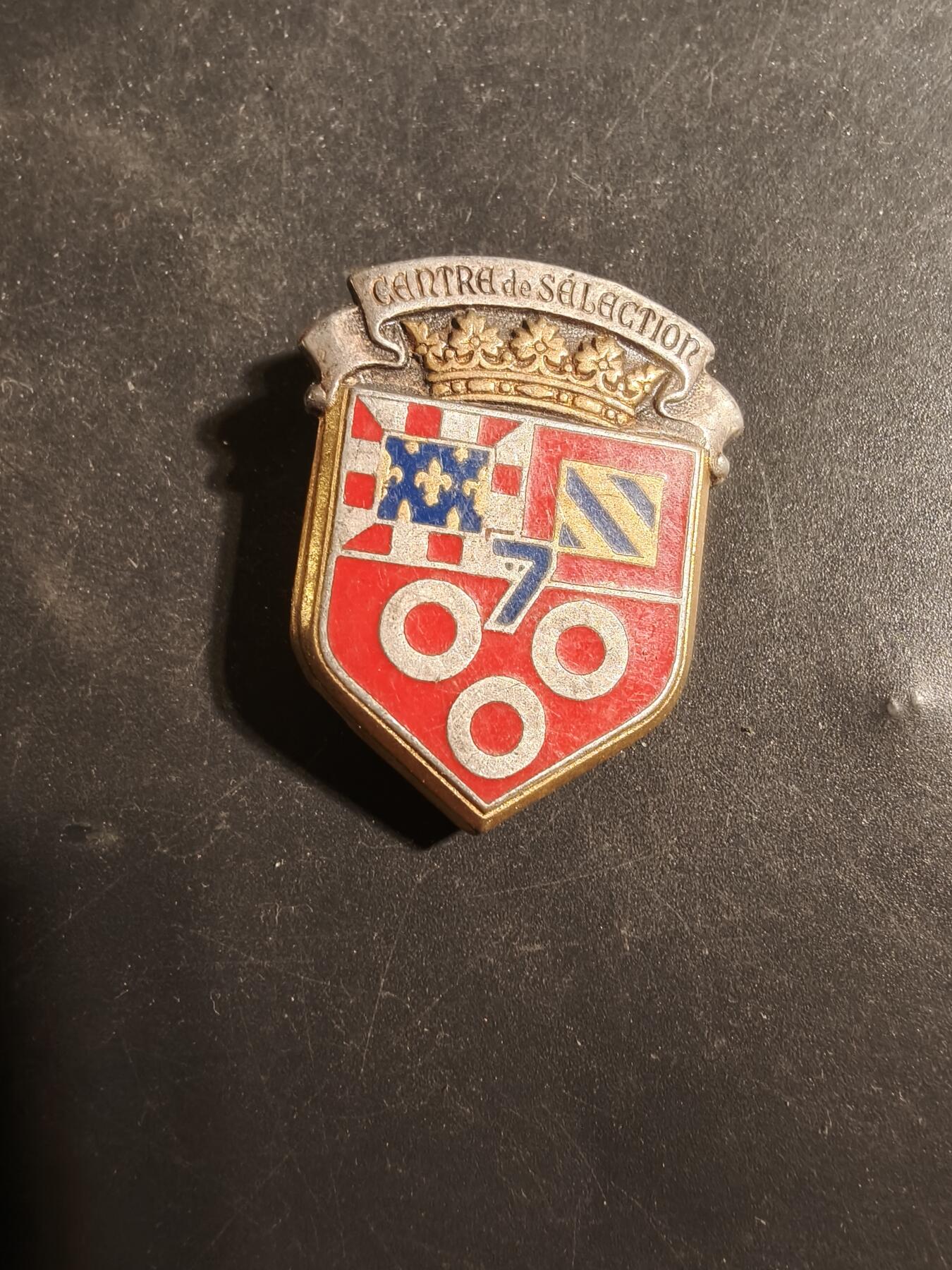 老王徽章第179期 法国陆军第7选拔中心证章