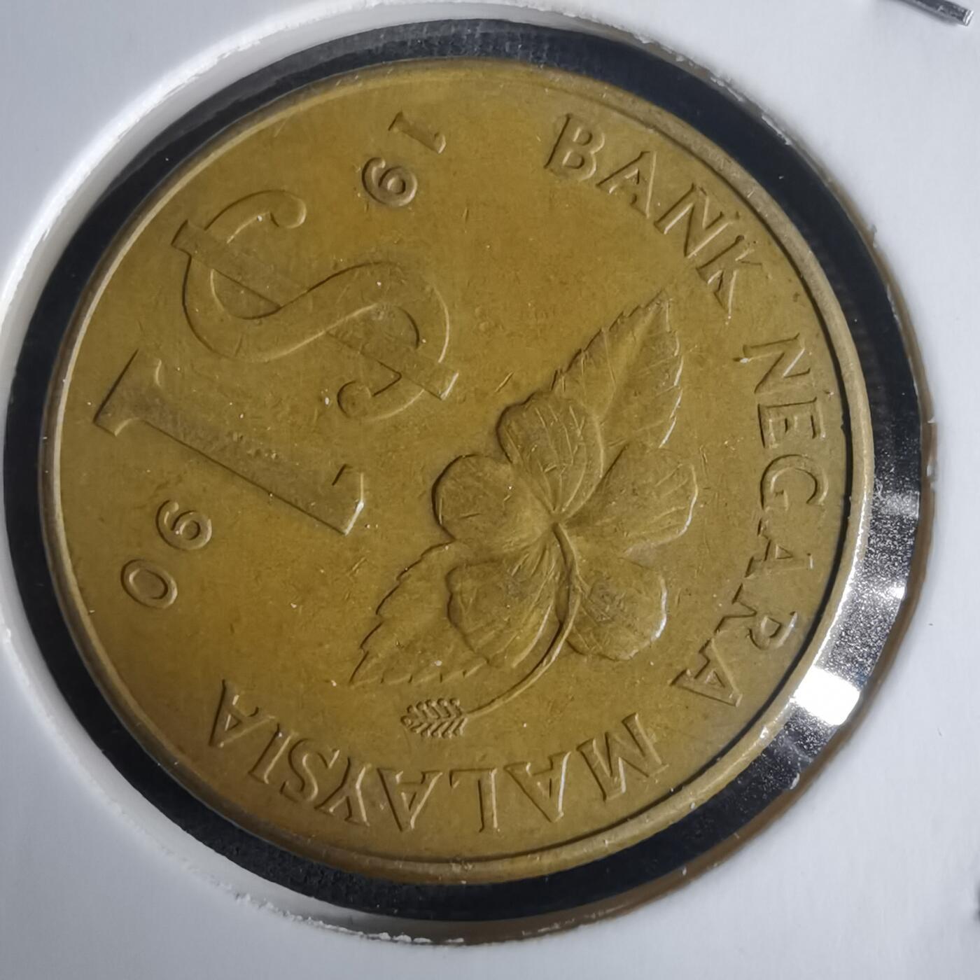 沼泽如烟--第975场