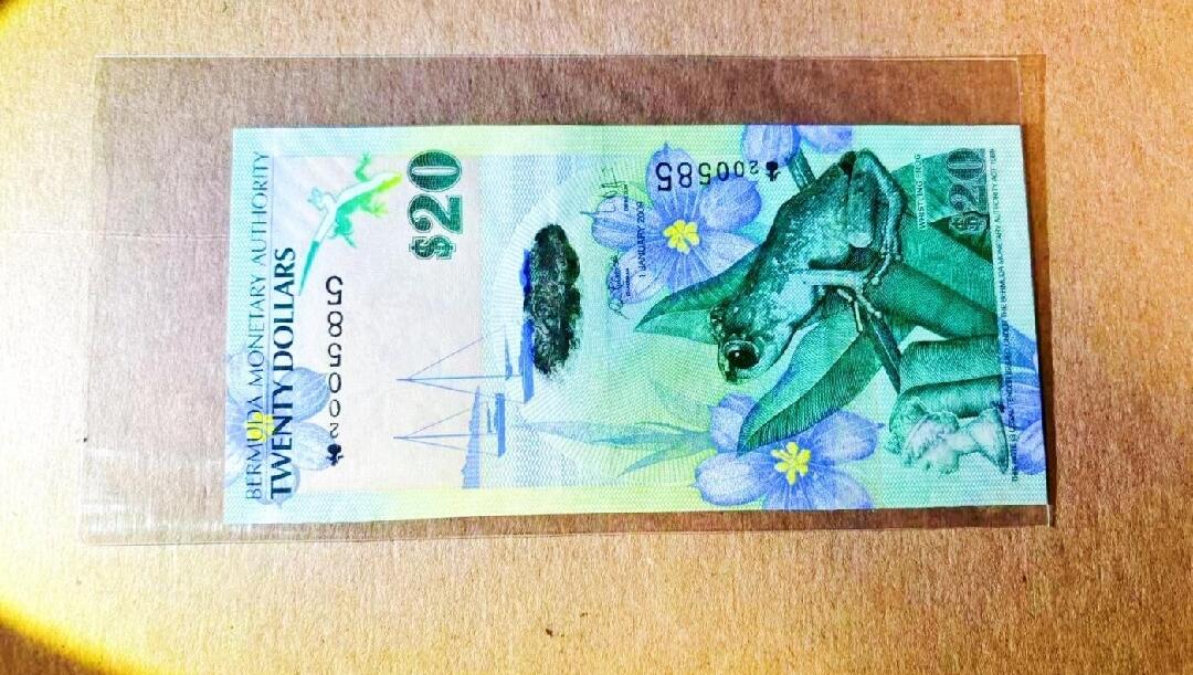 2009年百慕大20元 首发洋葱冠 靓号 年份号 无347 全新 UNC 绿色基调 正面是青蛙 背面为吉布士山灯塔和圣马可教堂 非常漂亮 不愧为2009年IBNS年度最佳钞票的姊妹款