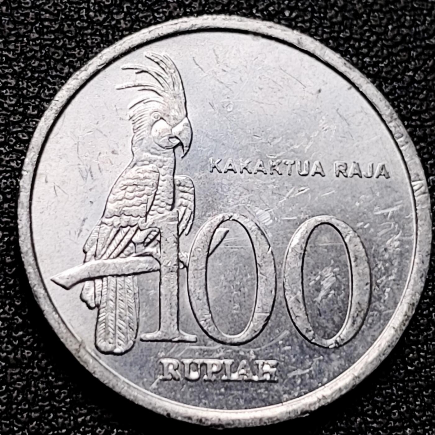 泉币菌-第175场- 精品福利场 。