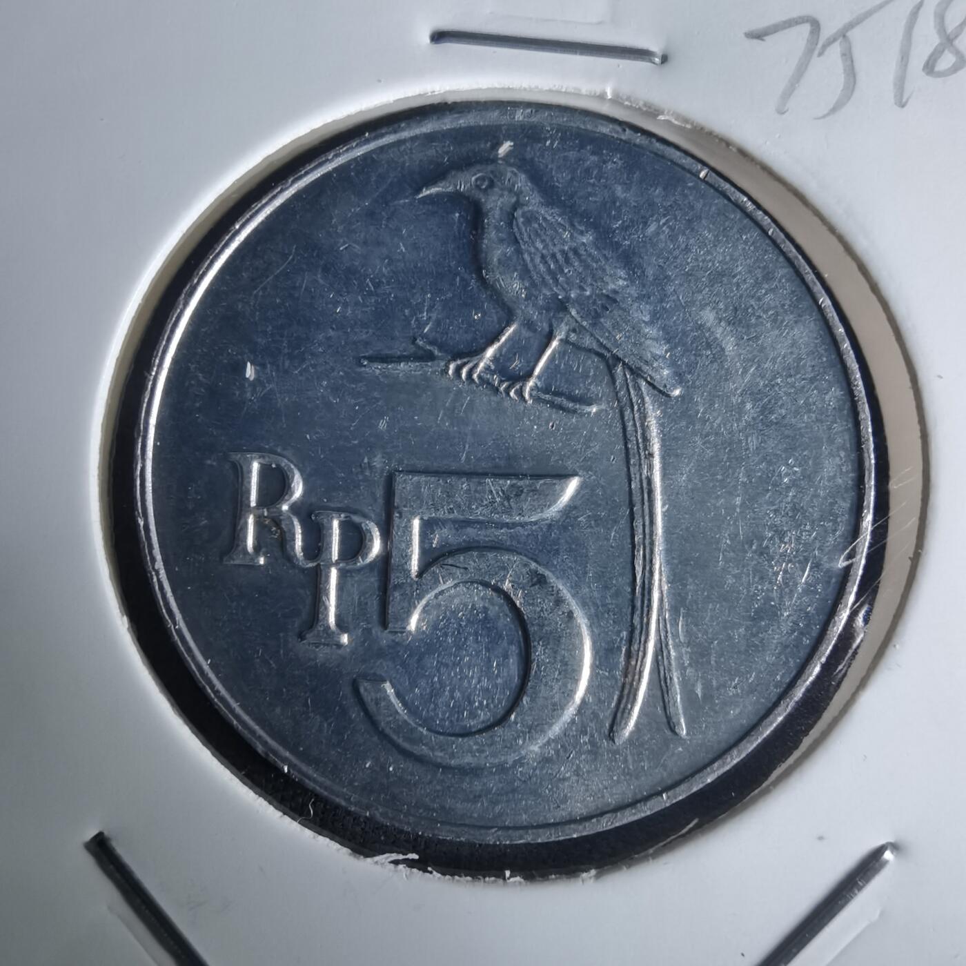 沼泽如烟--第975场