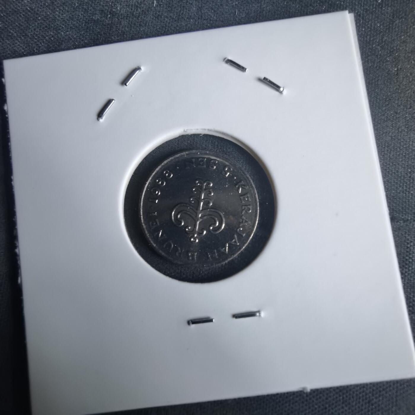 沼泽如烟--第975场