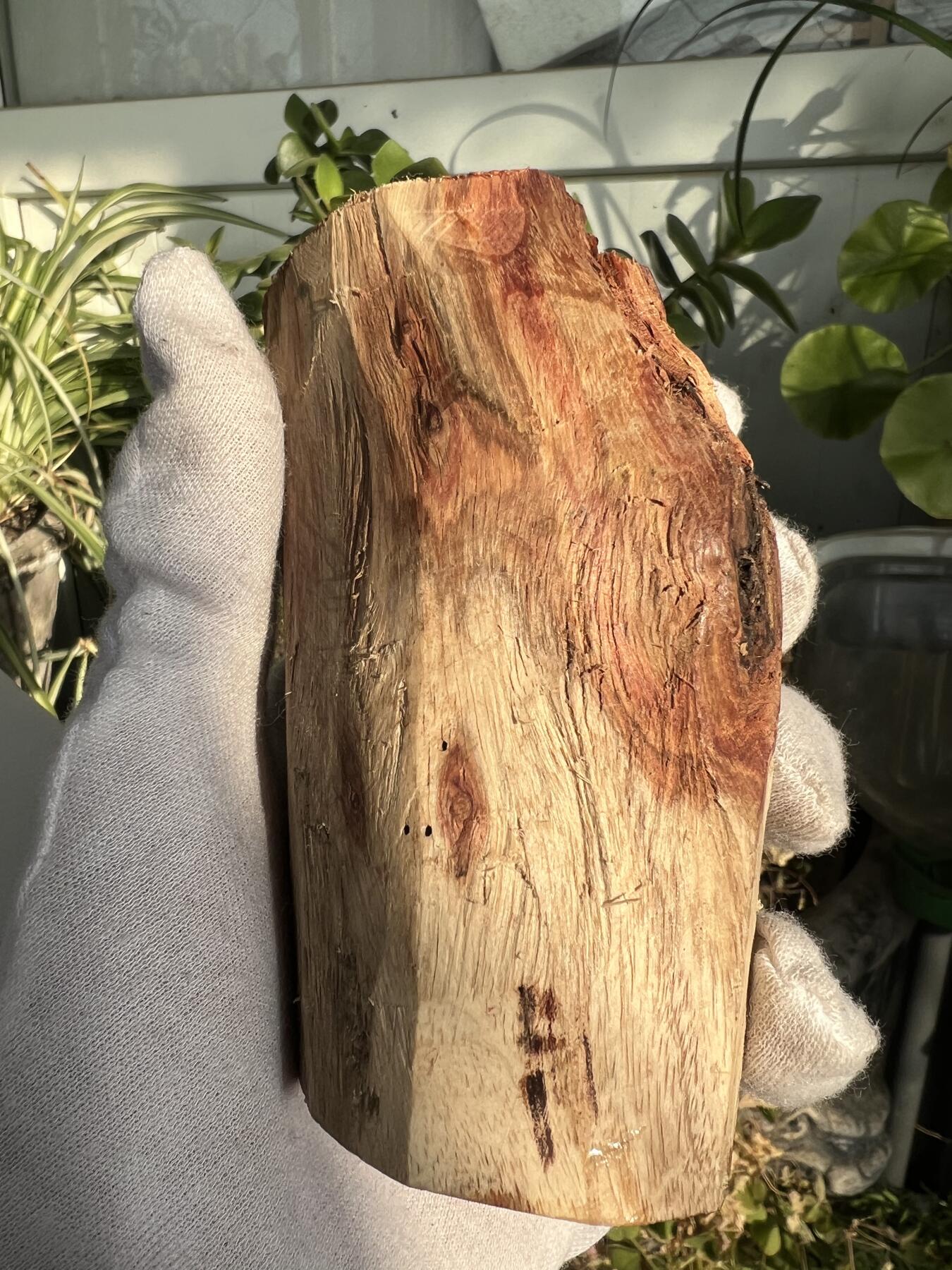 零元拍：  NO.11-3 海南黄花梨原料。100/55/50MM