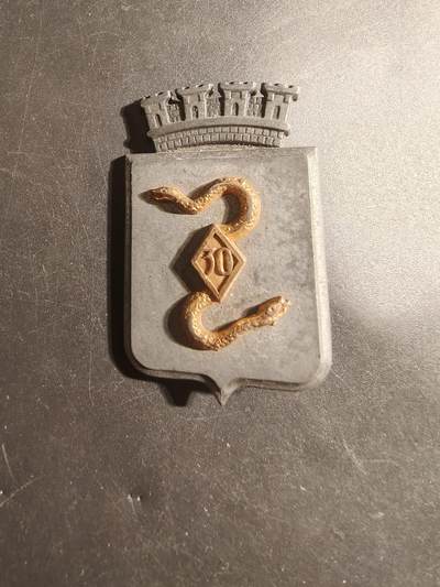 老王徽章第179期 - 法国陆军第30兵营群证章