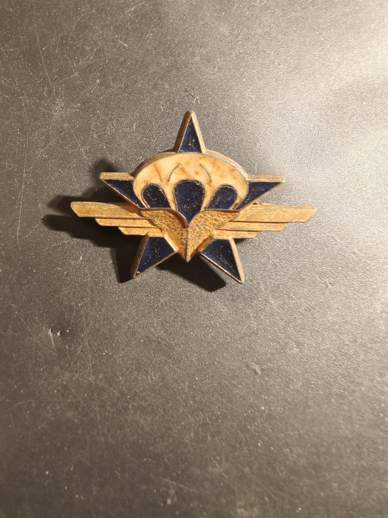 老王徽章第179期 法国陆军第1伞兵猎兵团证章