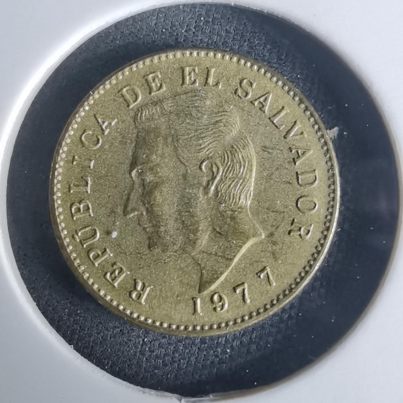 沼泽如烟--第975场