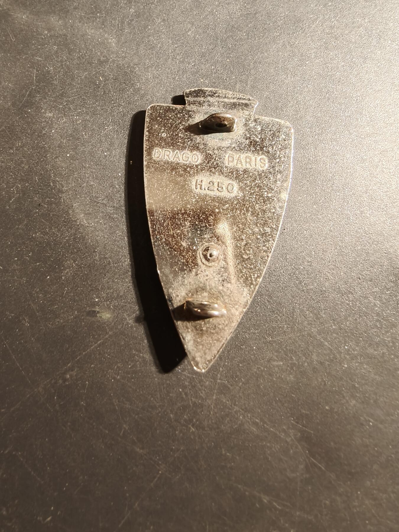 老王徽章第179期 法国外籍军团圭亚那工兵学校证章