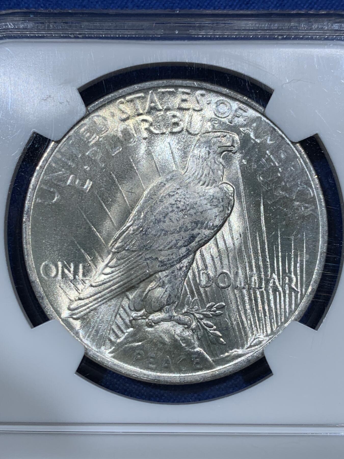 《竞宝斋》第461场 周日，周一，2场连拍 （全场包邮）欢迎送拍 NGC MS63 美国1923年和平1美元银币 早期标签 曝光状态 值得收藏