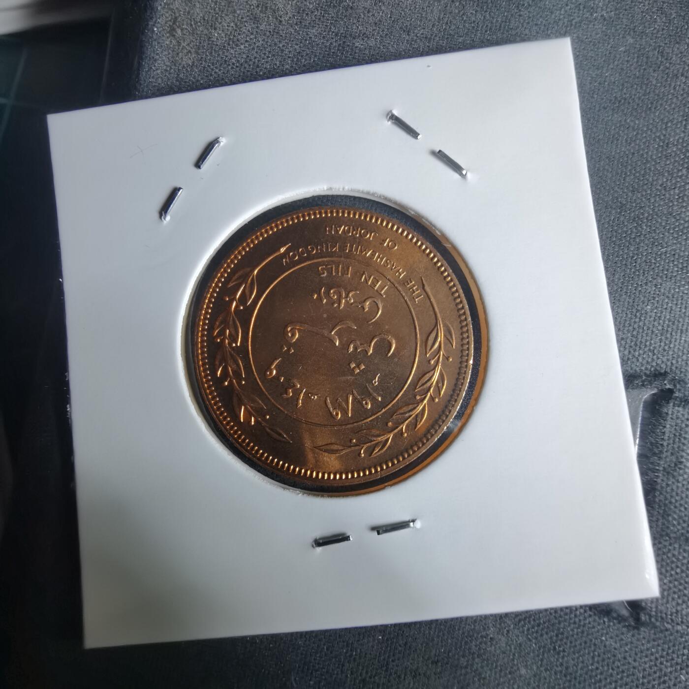 沼泽如烟--第975场