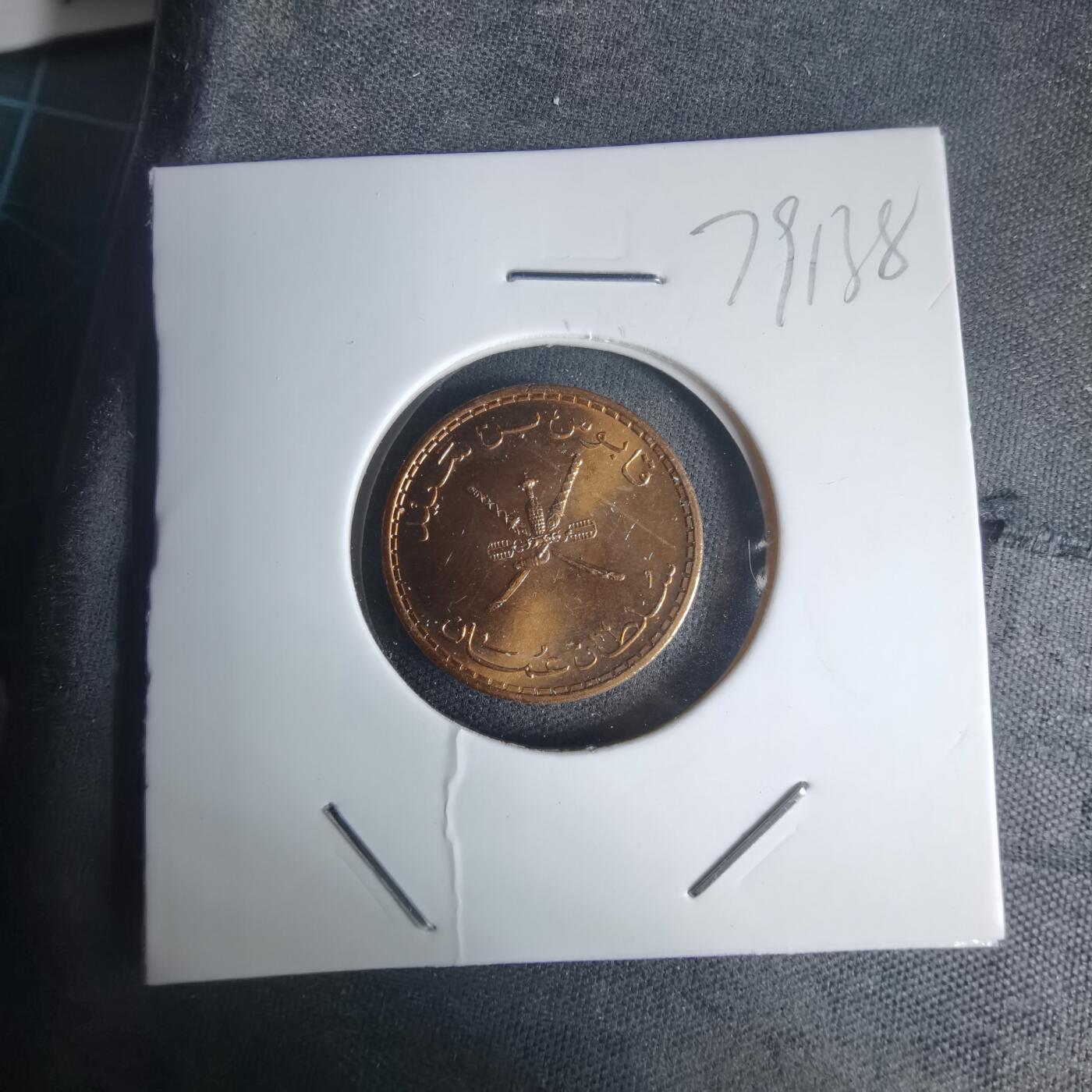 沼泽如烟--第975场